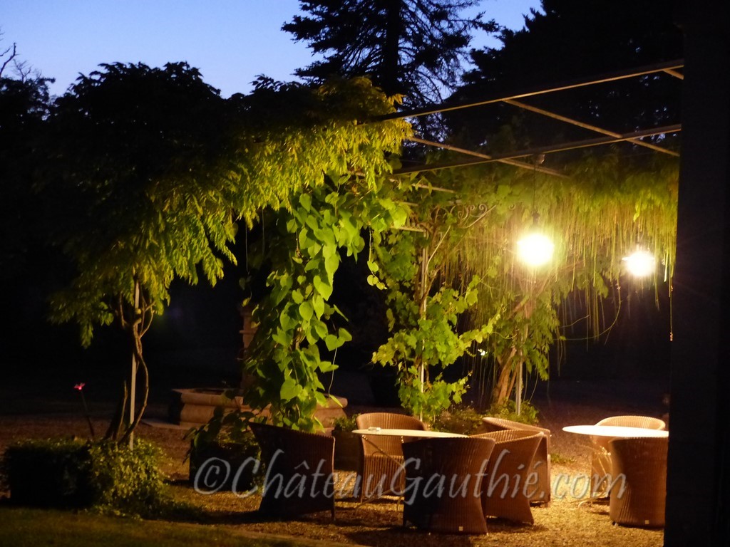 Patio Ouest avec la glycine au crépuscule
