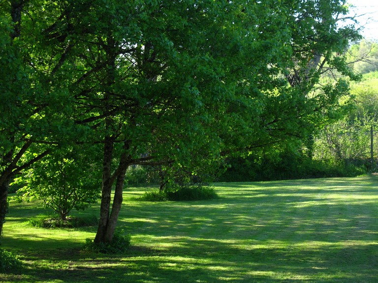 Le côté maîtrisé du jarin dans le parc calme