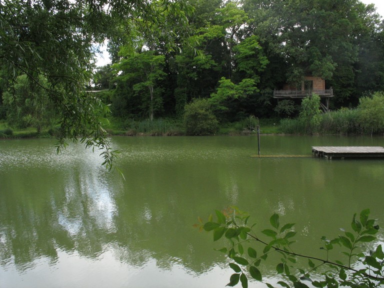 Le gite dans les arbres surplombe le lac