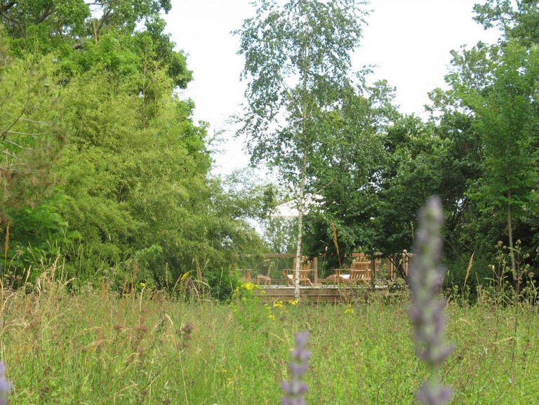 Prairie sauvage avant la plateforme sud