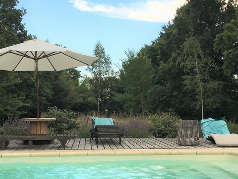Piscine et transat vers la pelouse sauvage
